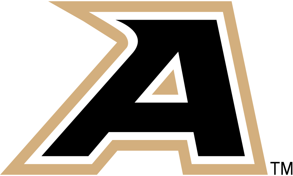 Army Black Knights 2006-2014 Secondary Logo iron on transfers for T-shirts